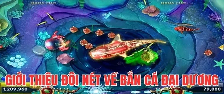 Cách Chơi Bắn Cá Đại Dương Tại FB88 Thắng Lớn Nhất 2025 2 Cách Chơi Bắn Cá Đại Dương Tại FB88 Thắng Lớn Nhất 2025