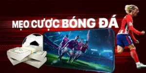 Tìm Hiểu Cá Cược Bóng Đá FB88 Cơ Hội Thắng Lớn