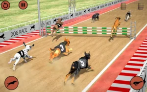 Cách Chơi Game Nhanh Đua Chó Tại FB88 Thắng Lớn Dễ Dàng